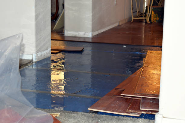 Professional Basement Water Removal technician working in Lee, IL